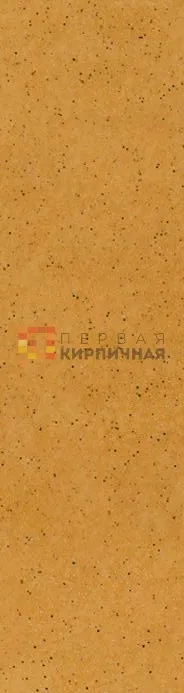 Клинкерная фасадная плитка Aquarius Beige Elewacja